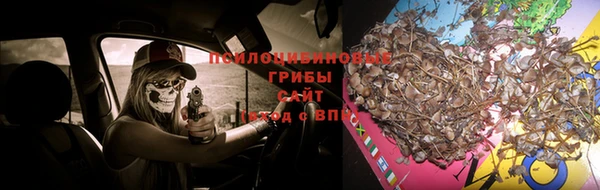 бошки Гусев