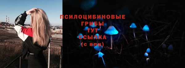 метамфетамин Гусь-Хрустальный