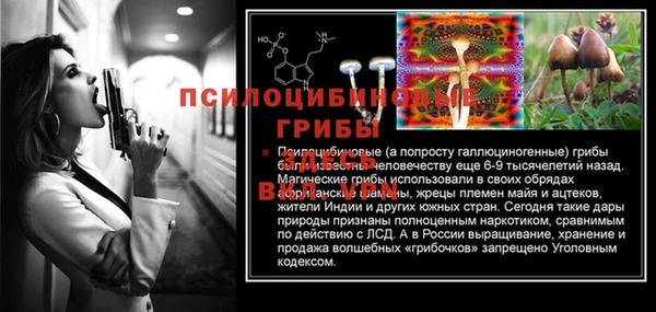 метамфетамин Гусь-Хрустальный