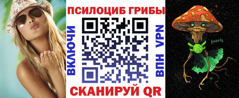 Купить  Райчихинск  Галлюциногенные грибы Magic Shrooms 